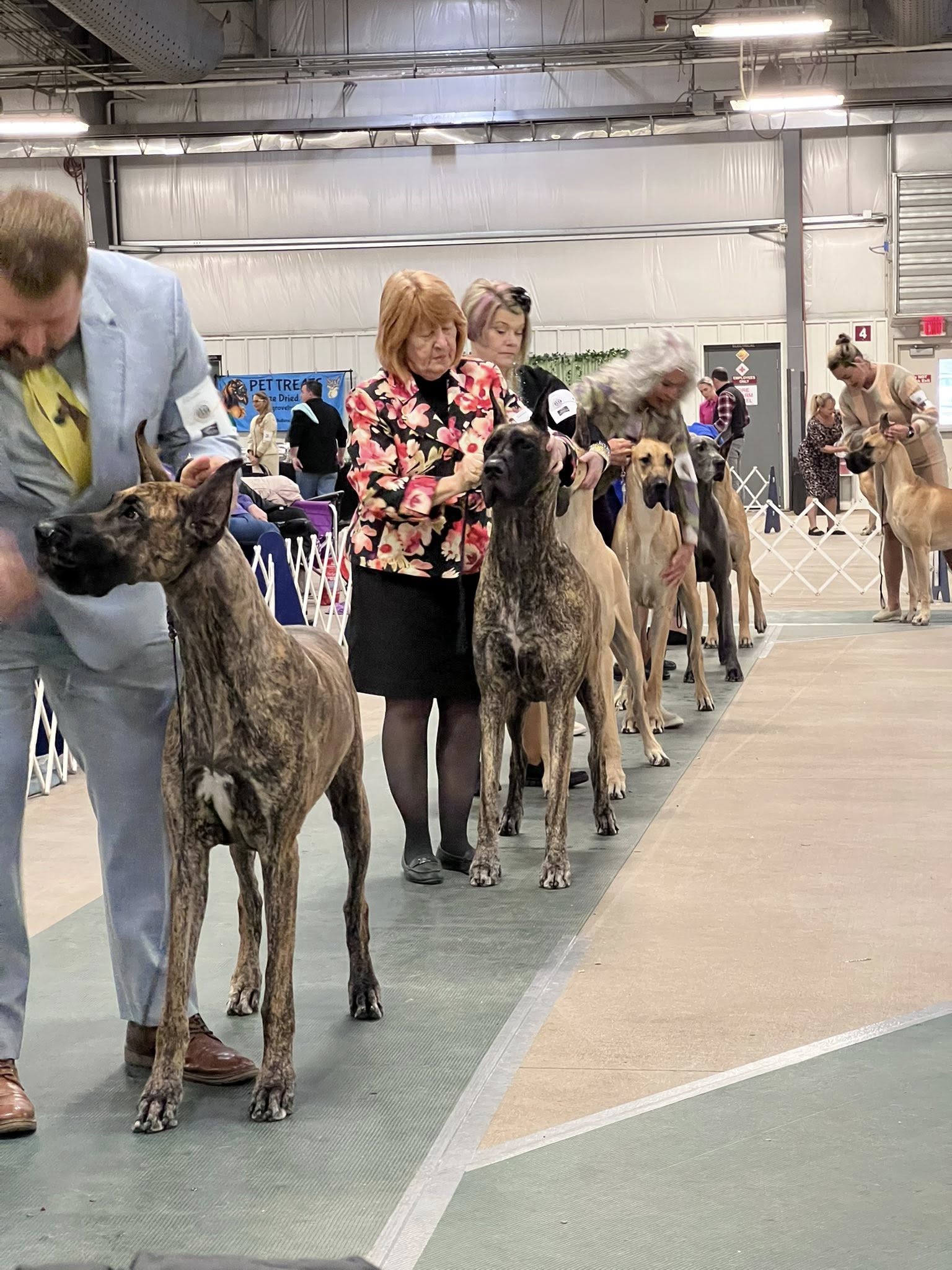 2026 Specialty Show